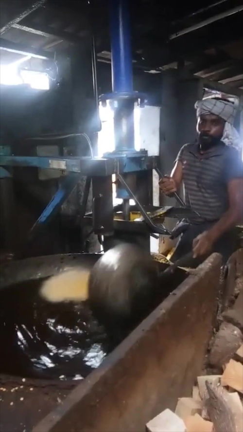 印度油炸食品加工廠 一鍋油2000斤的產能奇跡與安全隱患