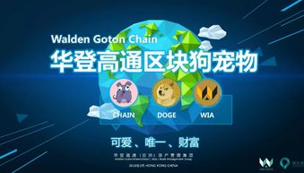 華登區(qū)塊狗推廣機(jī)制開發(fā)系統(tǒng) 廣州軟件開發(fā)的創(chuàng)新實(shí)踐
